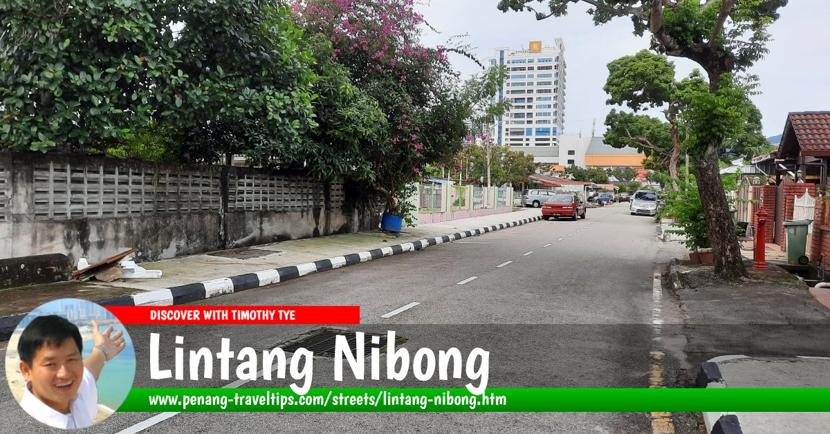 Lintang Nibong, Bayan Baru